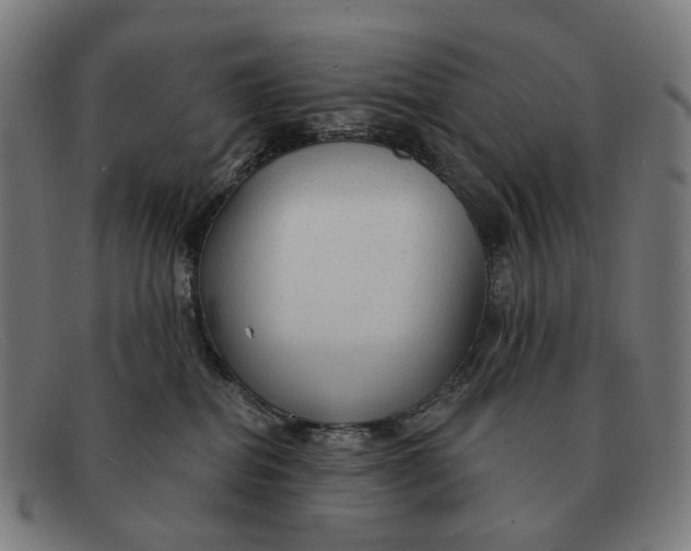 X0000091330282200708311442