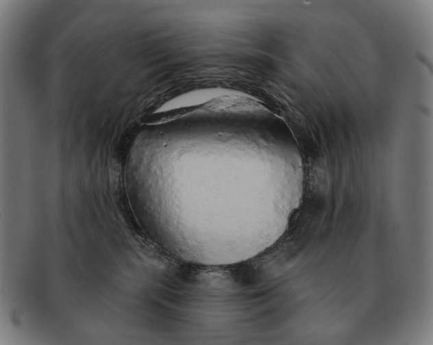 X0000091330283200708311442