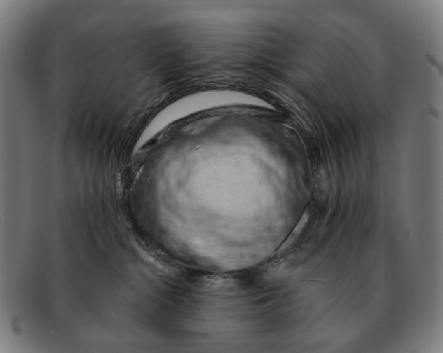 X0000091330284200708311442