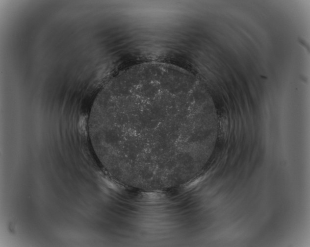 X0000091330286200708311442