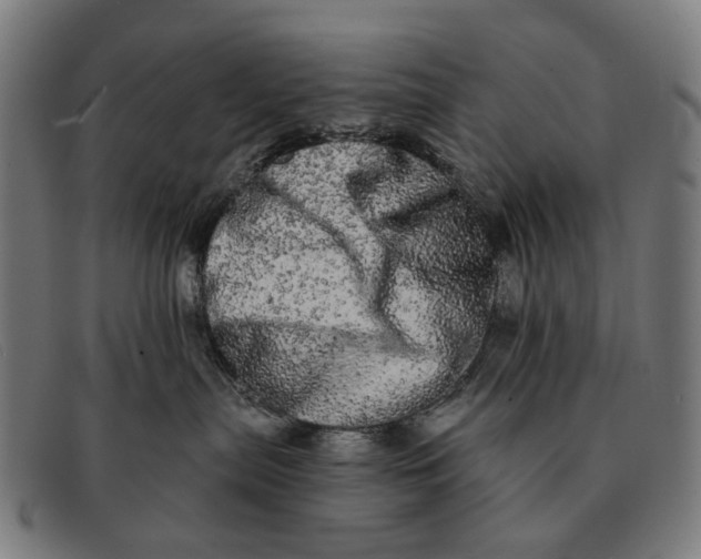 X0000091330287200708311442