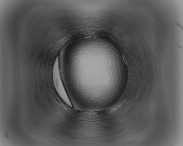 X0000091330288200708311442