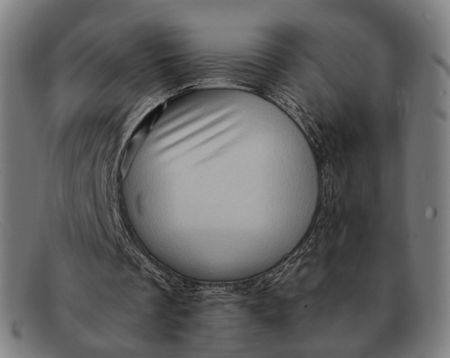 X0000091330289200708311442