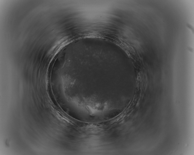 X0000091330290200708311442