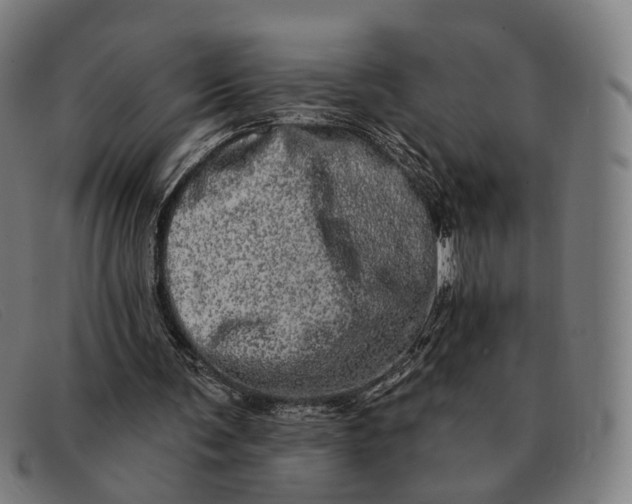 X0000091330291200708311442