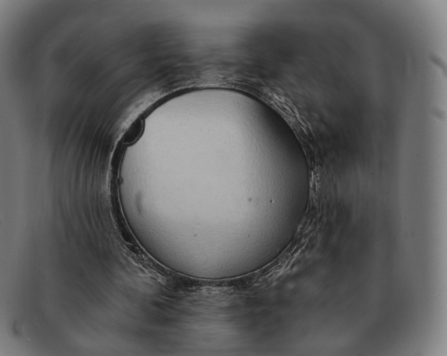 X0000091330292200708311442