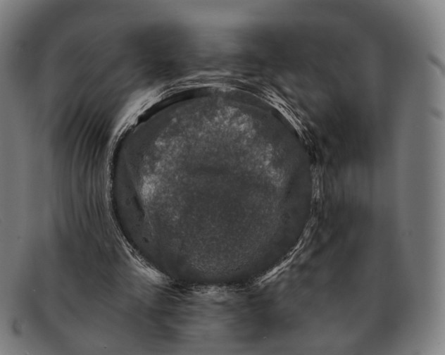 X0000091330293200708311442
