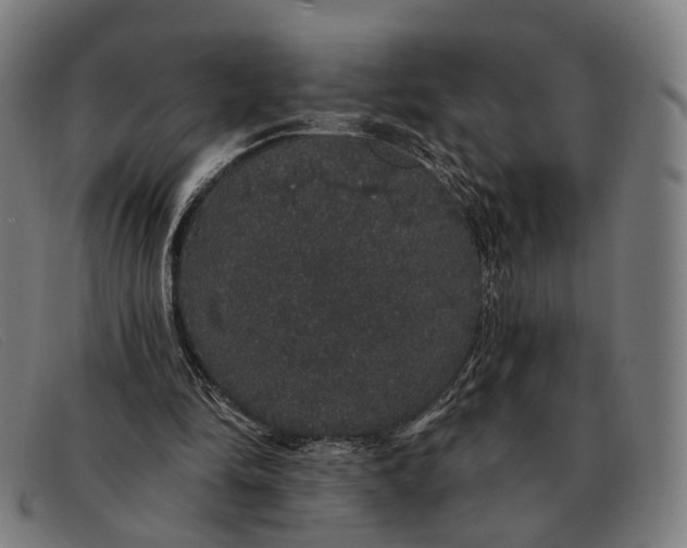 X0000091330294200708311442