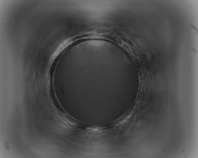 X0000091330295200708311442