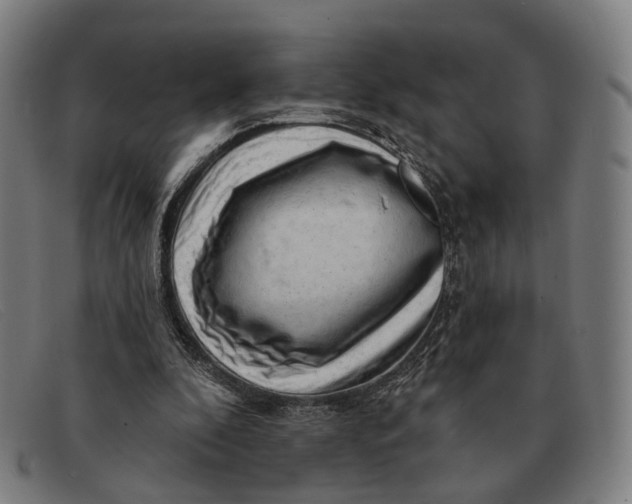 X0000091330296200708311442