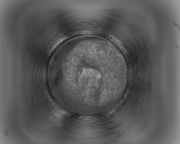 X0000091330297200708311442