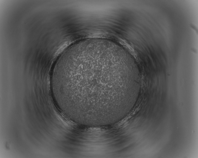 X0000091330298200708311442