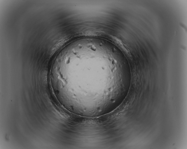 X0000091330299200708311442