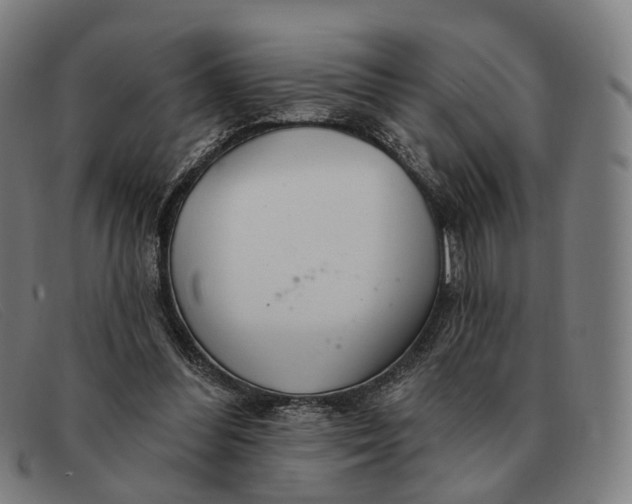X0000091330300200708311442