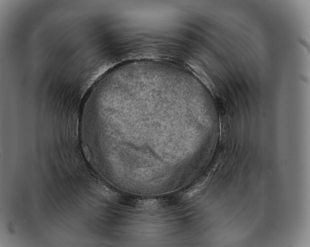 X0000091330301200708311442