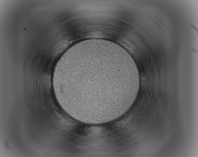 X0000091330302200708311442