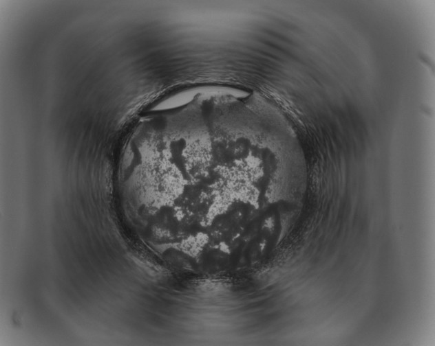 X0000091330303200708311442