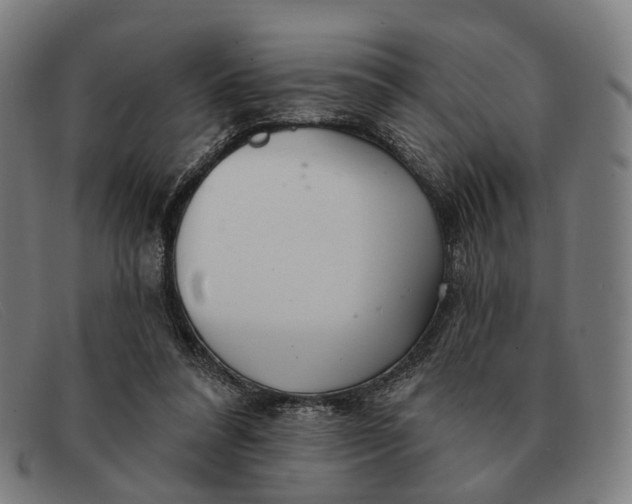 X0000091330304200708311442