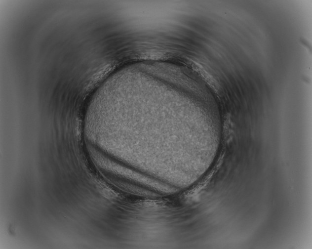 X0000091330305200708311442