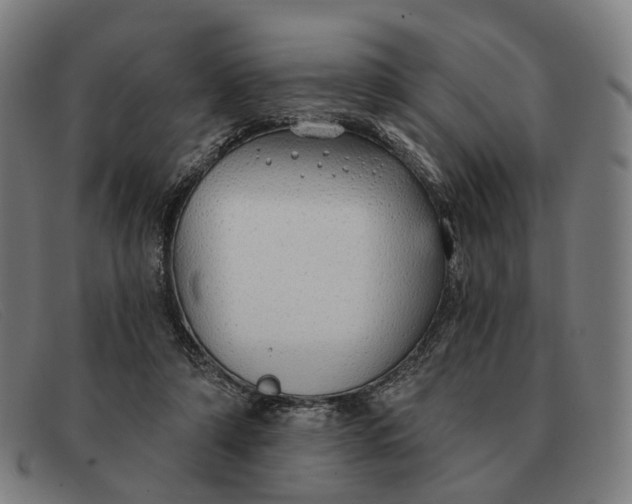 X0000091330306200708311442