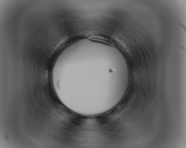X0000091330308200708311441
