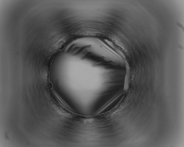 X0000091330309200708311441