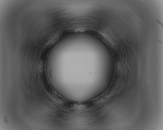 X0000091330311200708311441