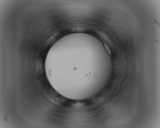 X0000091330312200708311441