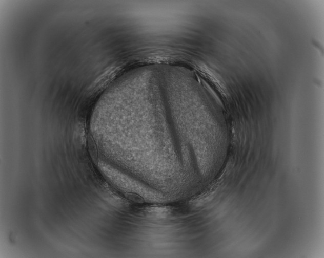 X0000091330313200708311441