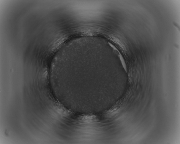 X0000091330314200708311441