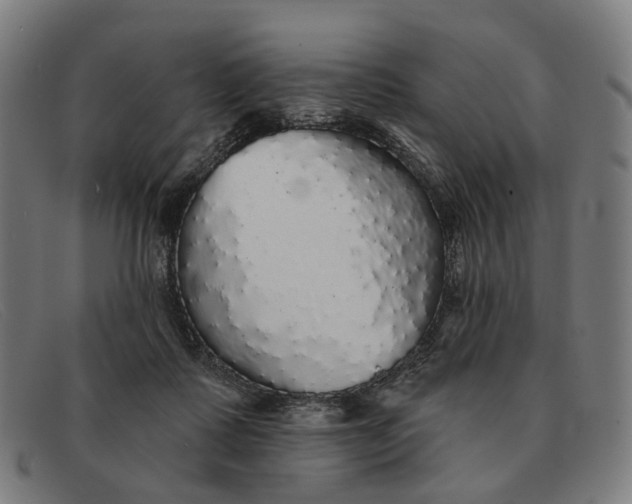 X0000091330315200708311441