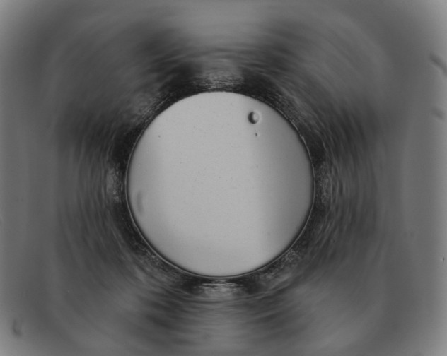 X0000091330316200708311441