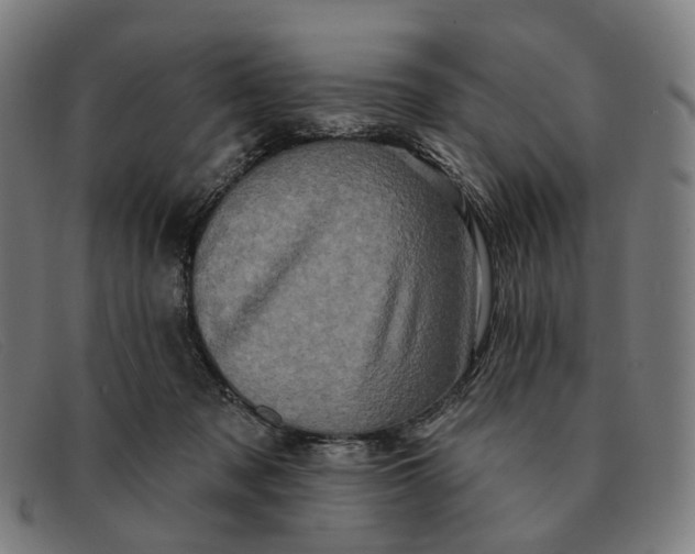 X0000091330317200708311441