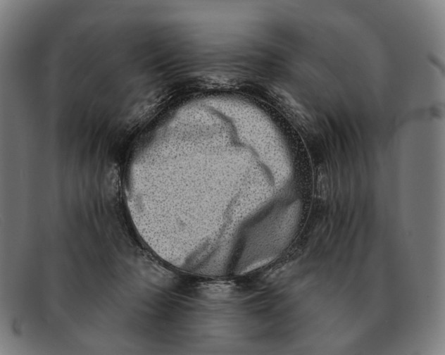 X0000091330318200708311441