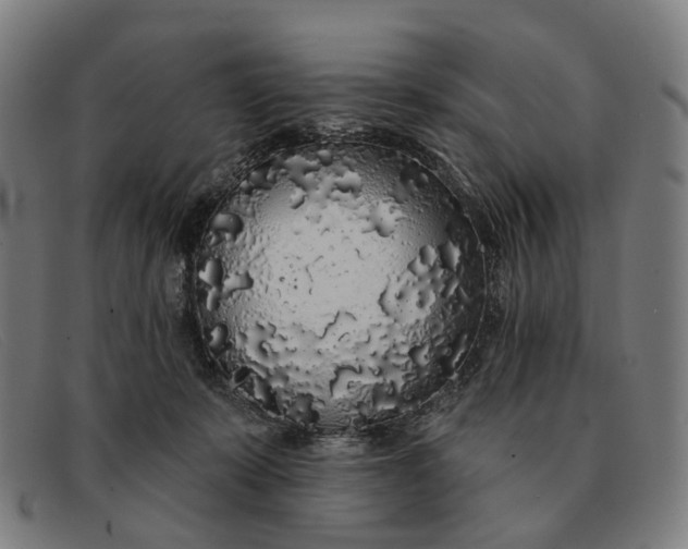 X0000091330319200708311441