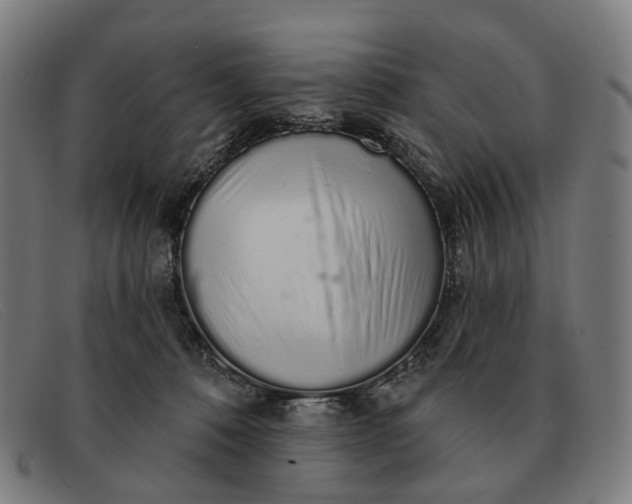 X0000091330320200708311441
