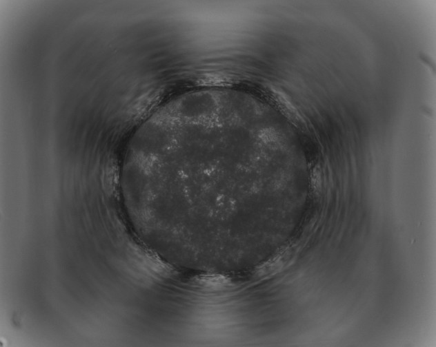 X0000091330322200708311441