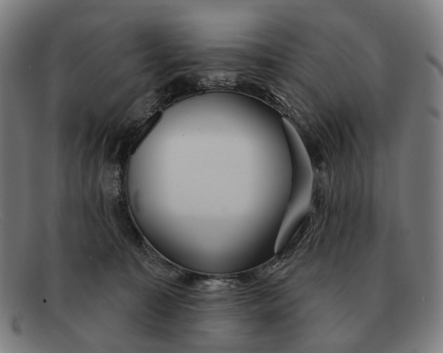 X0000091330323200708311441