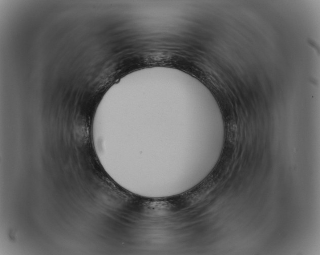 X0000091330324200708311441