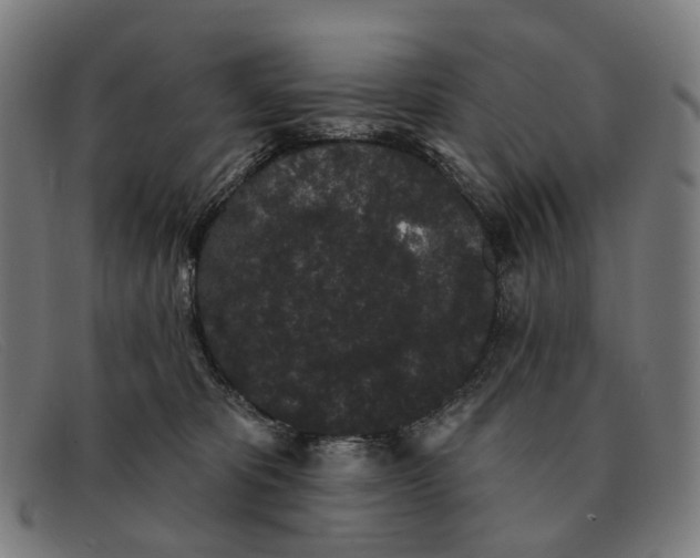 X0000091330325200708311441