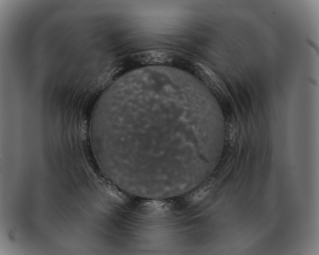 X0000091330326200708311441