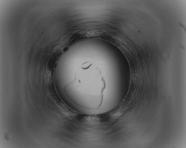 X0000091330327200708311441