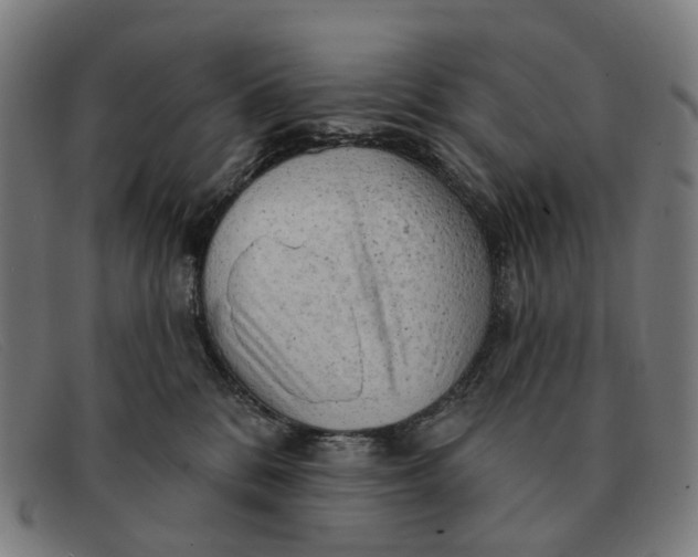 X0000091330328200708311441