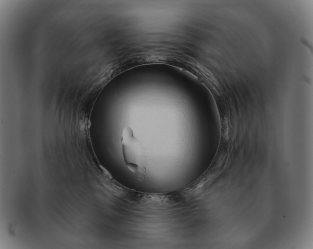 X0000091330329200708311441