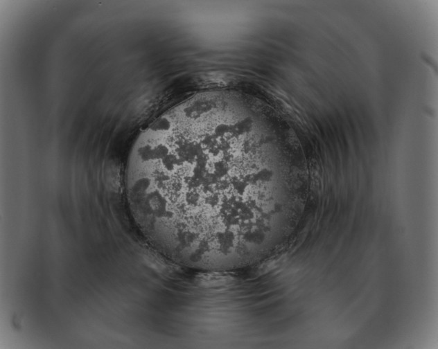 X0000091330331200708311441