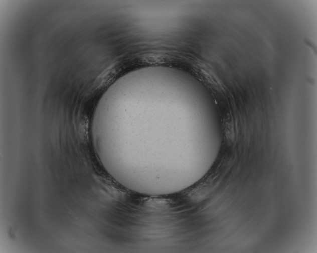 X0000091330332200708311441