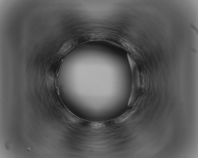 X0000091330333200708311441