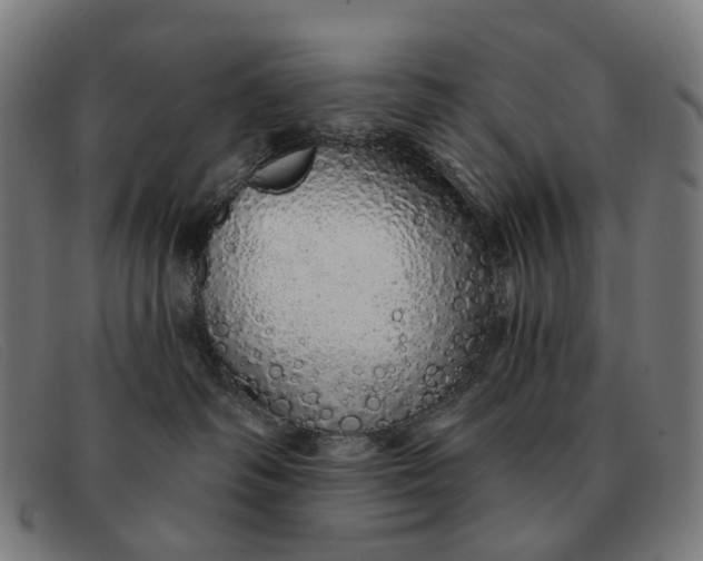 X0000091330334200708311441