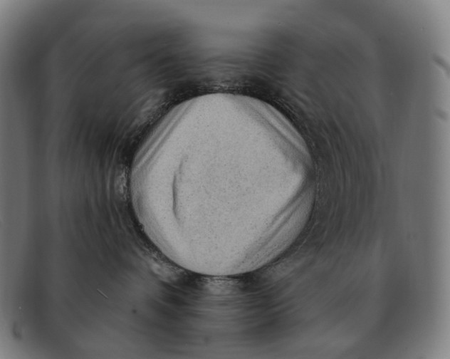 X0000091330336200708311441