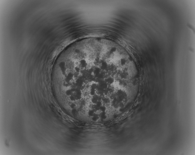 X0000091330337200708311441